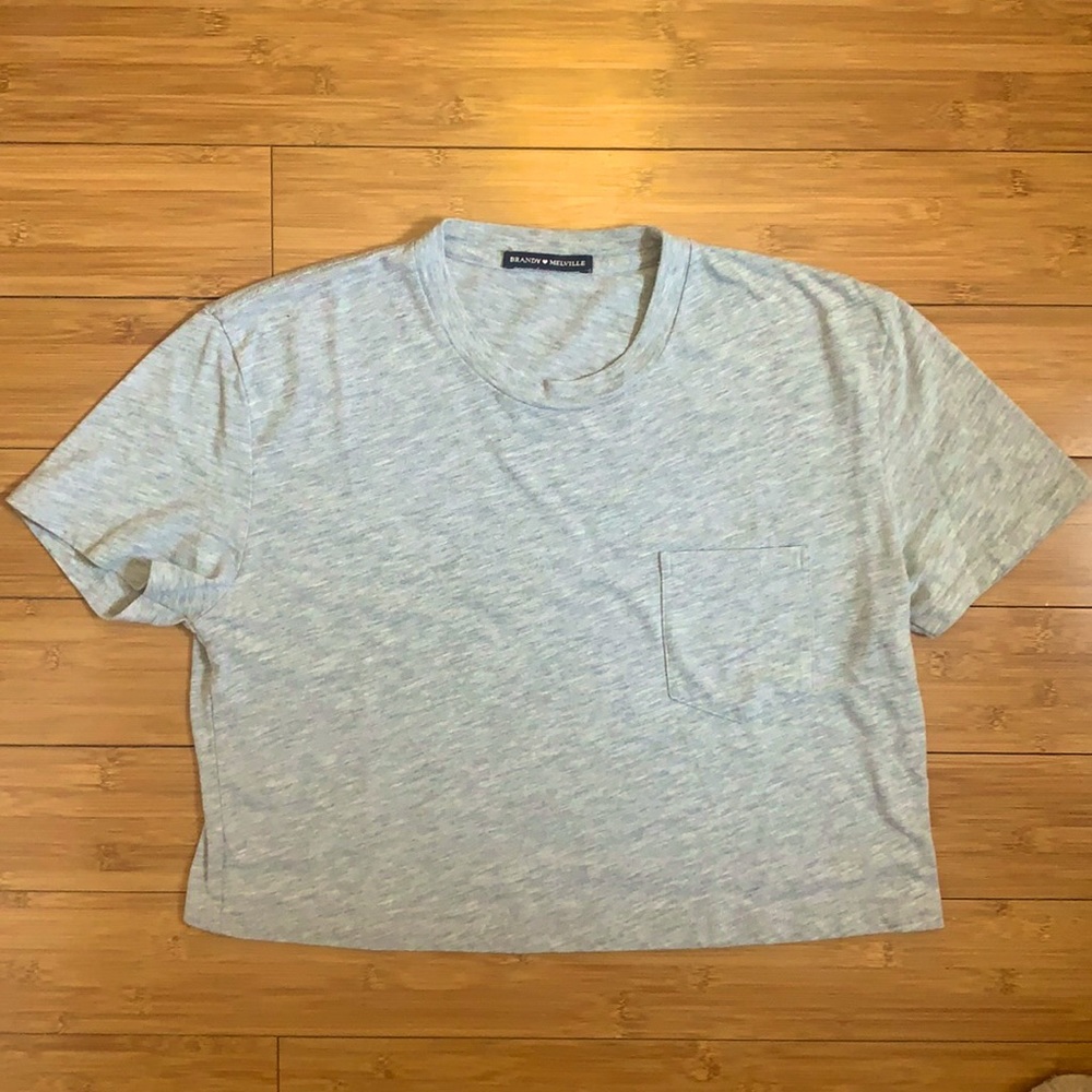 Brandy Melville Grey Crop Top